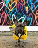 Fashion Pet Clothes Raincoat For Pet Dogs Larger Fat Dogs Clothes Bulldogs Coats  Waterproof