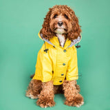 Fashion Pet Clothes Raincoat For Pet Dogs Larger Fat Dogs Clothes Bulldogs Coats  Waterproof