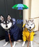 Fashion Pet Clothes Raincoat For Pet Dogs Larger Fat Dogs Clothes Bulldogs Coats  Waterproof