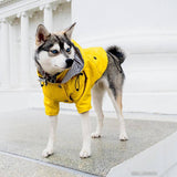 Fashion Pet Clothes Raincoat For Pet Dogs Larger Fat Dogs Clothes Bulldogs Coats  Waterproof